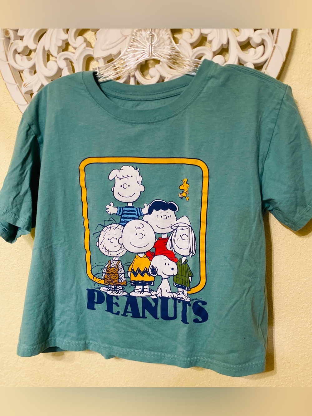 Peanuts  Graphic Tee - Teal